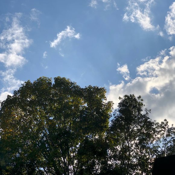 Meet your Posher, Julia - Picture 1 of 1